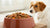 Understanding How Much Wet Dog Food to Feed Your Dog: A Comprehensive Guide