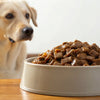 Understanding How Much Wet Food Should a 10 lb Dog Eat