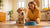 Understanding How Often to Give Dog Wet Food: A Comprehensive Guide for Pet Owners