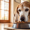 Understanding How Old Senior Dog Food Can Enhance Your Pet’s Golden Years