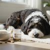 Understanding How to Calculate Fat to Protein Ratio in Dog Food for Optimal Nutrition