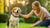 Understanding How to Correct Aggressive Dog Behavior: A Comprehensive Guide for Pet Owners