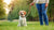 Understanding How to Correct Dominant Behavior in Dogs: A Comprehensive Guide for Pet Owners