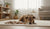 Understanding How to Correct Marking Behavior in Dogs-141420003567
