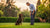 Understanding How to Fix Aggressive Dog Behavior: A Comprehensive Guide-141225754863