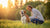 Understanding How to Stop Dominant Behavior in Dogs: A Comprehensive Guide for Pet Owners