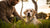 Understanding How to Stop My Dog's Aggressive Behavior: A Comprehensive Guide-141096288495