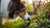 Understanding How to Tell if Your Dog Has Food or Environmental Allergies