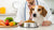 Understanding How to Test for Dog Food Allergies: A Comprehensive Guide for Pet Owners-141050151151