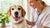 Understanding How to Test Your Dog for Food Allergies: A Guide for Pet Parents