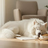 Understanding Hydrolyzed Protein Dog Food: A Comprehensive Guide