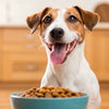 Understanding Hypoallergenic Dog Food: Is Hypoallergenic Dog Food Grain Free?