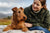 Understanding Irish Terrier Health Problems: A Comprehensive Guide for Owners