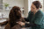 Understanding Irish Water Spaniel Health Problems: A Comprehensive Guide for Pet Owners