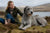 Understanding Irish Wolfhound Personality Traits