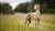 Understanding Italian Greyhound Personality Traits: The Endearing Nature of a Unique Breed