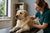 Understanding Labrador Retriever Health Problems: A Comprehensive Guide