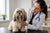 Understanding Lhasa Apso Health Problems: A Comprehensive Guide