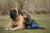 Understanding Mastiff Personality Traits and Temperament
