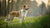 Understanding Medium Dog Weight: What You Need to Know for Your Canine Companion
