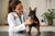 Understanding Miniature Pinscher Health Problems: A Comprehensive Guide