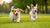 Understanding Normal Dog Play Behavior: What to Know for a Happy Pup-141047628015