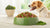 Understanding Pea Protein in Dog Food: Is It Safe for Our Four-Legged Friends?-141040845039