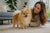 Understanding Pomeranian Personality Traits