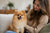 Understanding Pomeranian Temperament: A Comprehensive Guide for Potential Owners