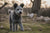 Understanding Pumi Personality Traits: A Deep Dive into This Unique Breed