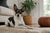 Understanding Rat Terrier Personality Traits for Your Home