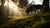 Understanding Roaming Behavior in Dogs: Causes and Solutions-141047988463