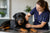 Understanding Rottweiler Health Problems: A Comprehensive Guide for Pet Owners