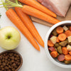 Understanding Safe Foods for Dogs: A Comprehensive 'What Foods Can Dogs Eat' List