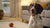 Understanding Saint Bernard Temperament: The Gentle Giants of the Dog World