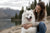 Understanding Samoyed Temperament and Personality