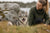 Understanding Swedish Vallhund Temperament: A Complete Guide for Dog Lovers