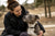 Understanding the American Pit Bull Terrier Temperament