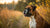 Understanding the Average Weight of a Boxer Dog: A Comprehensive Guide