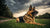 Understanding the Average Weight of a German Shepherd Dog: A Comprehensive Guide