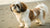 Understanding the Average Weight of a Shih Tzu Dog