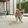 Understanding the Benefits of Kibble for Dogs: A Comprehensive Guide