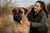 Understanding the Bullmastiff Temperament