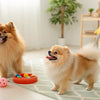 Understanding the Chinese Shar-Pei Temperament: A Guide for Potential Owners