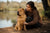 Understanding the Chinese Shar-Pei Temperament: A Guide for Potential Owners