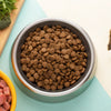 Understanding the Difference Between Puppy and Adult Dog Food