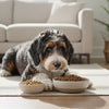 Understanding the Difference Between Puppy and Adult Dog Food: A Vital Guide for New Pet Owners