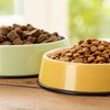Understanding the Difference: How is Puppy Food Different from Dog Food?