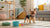 Understanding the Different Types of Dog Treats: A Comprehensive Guide for Pet Owners