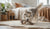 Understanding the Impact of High Protein Dog Food on Weight Gain: What Every Pet Owner Needs to Know